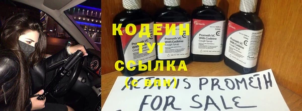 ПСИЛОЦИБИНОВЫЕ ГРИБЫ Гусев